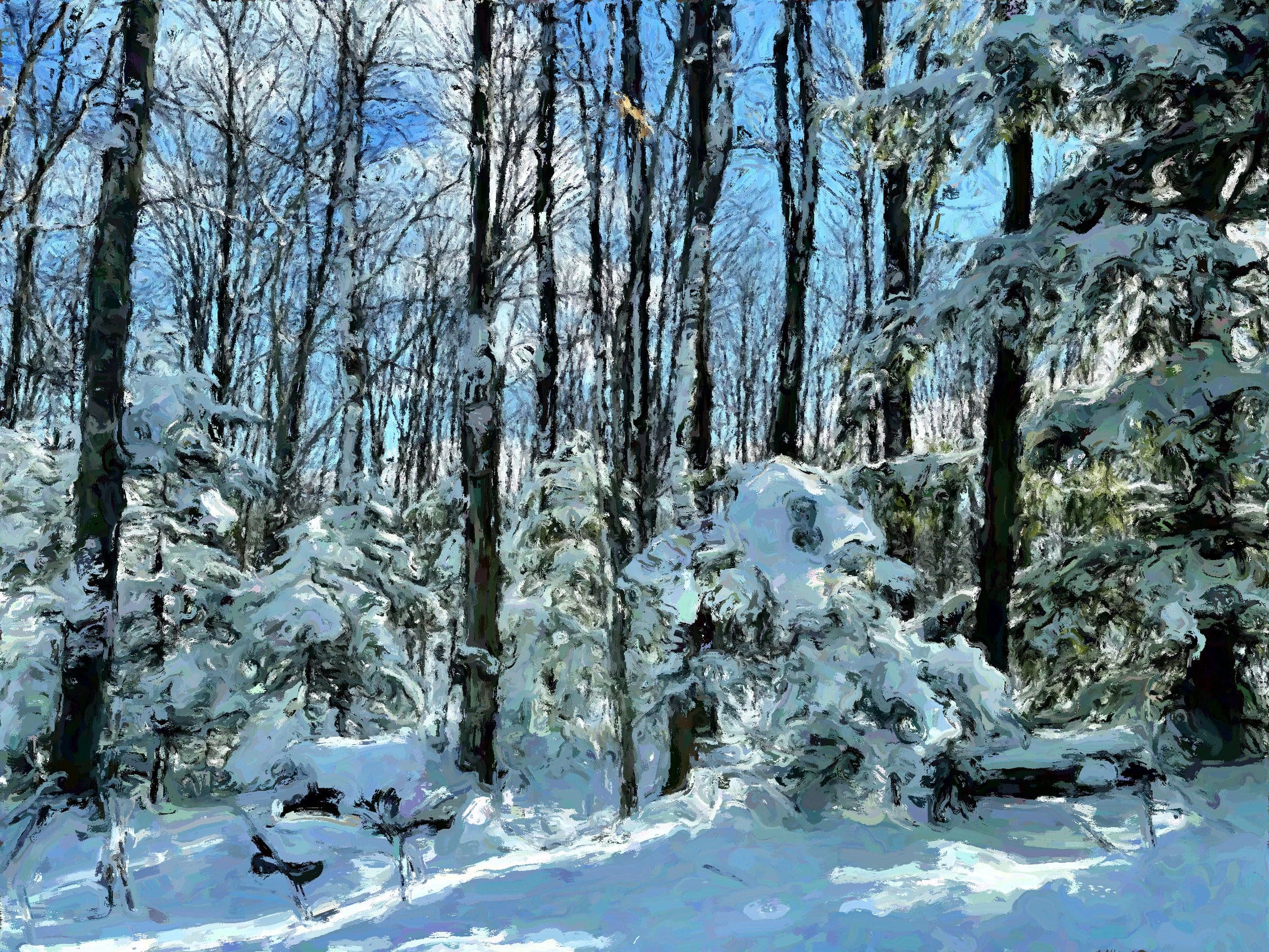Bruce Trail at Epping