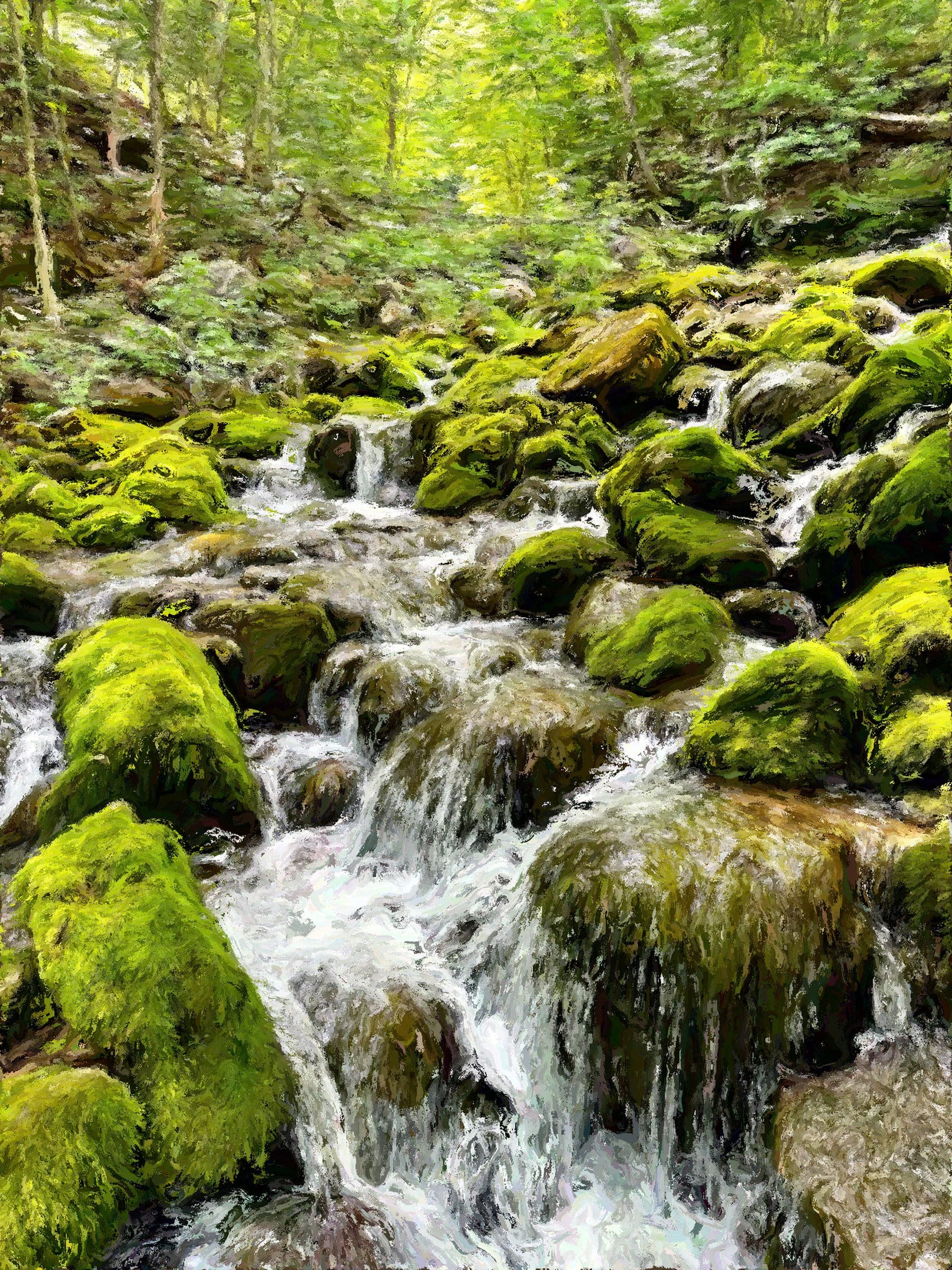 Bruce Trail in the Grey Highlands